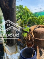 Cần Bán 40,3M Đất 1/ Nguyễn Ảnh Thủ Hẻm Nhựa 8M