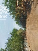 Cần Bán Gấp Lô Đất Sau Kcn Minh Hưng Hàn Quốc Giá Chỉ 330 Triệu