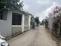 Phân Lô Cực Đỉnh! Lô Góc 236M2 Trục Chính Gần Đường 382 Full Thổ Cư, Yên Phú, Yên Mỹ