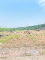 Bán Gấp Đất 200M2 Tại Nguyễn Văn Khước, Phú Tân, Bến Tre, Giá Siêu Hời 680 Triệu Cách Đường Lộ 1Km
