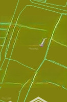 [ Đất Dân Ô Tô Đắc Lộc _ Sát Khu Tái Định Cư ] * Cách Biển Hòn Chồng 6,5Km * Giá Bán 1 Tỷ 250 Triệu