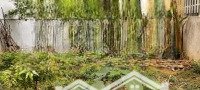 Cần Bán Đất Tcln 120M² Tại Thôn Tam Cảnh, Đồng Trúc, Thạch Thất, Hà Nội