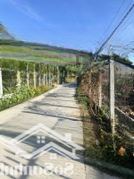 Nền Mặt Tiền Đường Đx03 Ấp Phước Hoà, Xã An Phước, Châu Thành Bến Tre