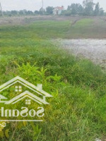 Bán Đất Lúa Giá Rẻ. Mặt Tiền 817 Xã Long Thuận Huyện Thủ Thừa. Tỉnh Long An