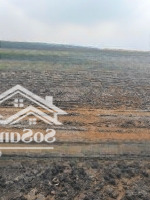 Bán Đất Lúa Giá Rẻ. Mặt Tiền 817 Xã Long Thuận Huyện Thủ Thừa. Tỉnh Long An