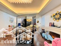 Bán Biệt Thự Lê Duẩn Tt Đống Đa Xây Kiên Cố 3 Mặt Thoáng, Ôtô Tránh, Gần Hồ 105M2/5T/8Mmặt Tiền19Tỷ Tl