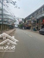 Trục Chính- Kinh Doanh-Phụng Châu
