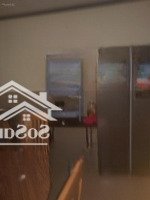 Cần Tiền Bán Nhà Phố Chợ Phú An Diện Tích 100M²5*20