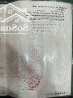 Mua Vàng Đu Đỉnh Nên Cần Bán Nhà Đất Long An Gấp Hơn Chữ Gấp