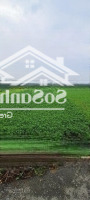 Bán Đất Khủng 4365M2, Đường Thạnh Xuân 14, Quận 12 - Chỉ 39.9 Tỷ