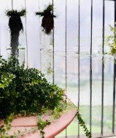 Hiếm! Duy Nhất Căn 3 Phòng Ngủview Hồ,Diện Tích100M2 Hướng Đn, Vinhomes D''capitale Trần Duy Hưng, Giá Bán 8,7 Tỷ