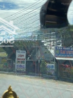 Sở Hữu 1015M2 Đất Trồng Xoài Đang Thu Hoạch Chỉ 250 Triệu