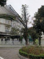 Cần Bán Lk 105M2 Louis City Đại Mỗ Vị Trí Vô Cùng Thoáng Đẹp, Hướng Đn Liên Hệ Mr Dân