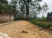 Bán Đất Nghỉ Dưỡng Kim Sơn, Sơn Tây