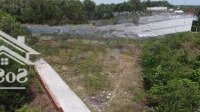 Hàng Hiếm Tại Con Gà Vàng, 2,2 Tỷ, 156M2, Đất Có Thổ Cư Pháp Lý An Toàn Cho Anh Chị Đầu Tư