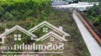 Hàng Hiếm Tại Con Gà Vàng, 2,2 Tỷ, 156M2, Đất Có Thổ Cư Pháp Lý An Toàn Cho Anh Chị Đầu Tư