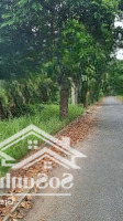 Ngộp Đất Ngay Đường Đồng Khởi, Gần Tt Tiêm Chủng Vnvc Gò Công, X. Long Chánh, Gò Công, 150M2/ 420 Triệu