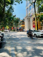 Phân Lô, Ô Tô Tránh, Vỉa Hè, Kinh Doanh 66M2X5T,Mặt Tiền4M Trần Nguyên Đán