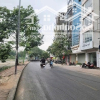 Bán Đất Tại Nguyễn Khang, Yên Hòa, Cầu Giấy, Hà Nội, 32 Tỷ, 135M2