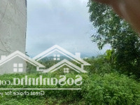 Cơ Hội Sở Hữu Lô Đất Đẹp Tại Chương Mỹ Hà Nội, Giá Tốt Nhất Khu Vực!