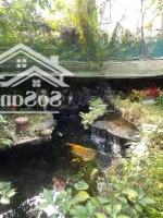 Bán Biệt Thự Nhà Vườn Phố Ngọc Thụy, Long Biên, Ô Tô, Sân Vườn, Mặt Tiền Rộng, 430M2, Giá Bán 62 Tỷ