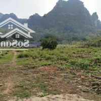 1200M Thổ Cư Tổngdiện Tích7000M.mặt Tiền 103 Tại Liên Sơn - Lương Sơn (2, 2 Triệu/M)