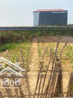 Bán Nhanh 240M Đất Full Thổ Cư Tại Lập Trí, Minh Trí, Sóc Sơn. Giá 21, 5 Triệu/M.