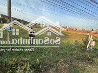 Chính Chủ Bán Nhiều Lô Đất Đường Bàu Công, Đức Hoà, Long An Cạnh Vinhomes Hậu Nghĩa
