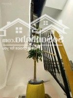Chính Chủ Bán Nhà Ngang 3,5M Đường Nguyễn Thần Hiến, Quận 4 Cách Đường Lớn Chỉ 10M