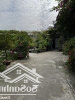 Bán Đất Đường Thông Tin, Diên An, Phú Ân Nam 2, Sát Đường 23/10, Vị Trí Cực Kỳ Đẹp.