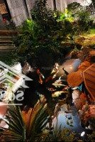 Siêu Phẩm ! Bt Sân Vườn Ttđ 204M2, Vị Trí Đắc Địa, Đường 10M, Vỉa Hè, Kd, Gần Sun Group Và Vin Đp