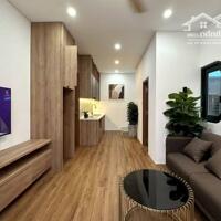 Nhà Siêu Phẩm Đường Hòang Hoa Thám Quận Bình Thạnh Phường 6.