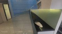 Bán Nhà Riêng Tại An Dương, 12,6 Tỷ, 48 M2, 3 Phòng Ngủ 5 Vệ Sinh Tây Hồ, Hà Nội