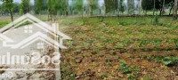 Cần Bán Nhanh Lô Đất Đẹp Diện Tích: 864M- 200Mont, Mặt Tiền 25M Giá Đầu Tư Rẻ Hơn Khu Vực Rất Nhiều