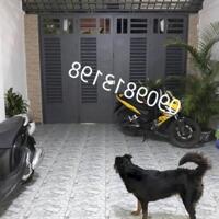 Cần Bán Nhà Quận 8 - Cơ Hội Vàng!