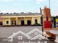 Bán Gấp 50M2 Đất Bắc Hồng, 3 Tỷ Hơn. Ô Tô Lướt Vi Vu! Gần Dự Án Kđt!