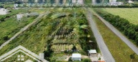 Chủ Gửi Bán Gấp Nền 120M2 Cực Đẹp Tại Kđtm Phước An, Nhơn Trạch. Đường 16M, Giá Chỉ 2Ty2