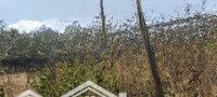 Bán Đất Tại Lương Văn Nho, Gần Viện Kiểm Sát Cần Thạnh, Cần Giờ, 1200M2 Thổ Cư Giá 22 Triệu/M2
