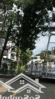 Bán 829M2 Ngang 21Mmặt Tiềnđường Trường Sơn Có Thể Tách Làm 4 Lô Cách Kđt Mipeco 1 Mặt Đường 27 Triệu/M2