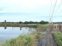 Diện Tích: 2541M2 Xã Bình Khánh Cần Giờ Tp Hcm, Vị Trí Đất Cách Đường Rừng Sác 3Km Giá Bán 1. 2 Triệu/M2 Sổ Hồng