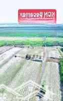 Cơ Hội Đầu Tư Đón Đầu Giá Rẻ. Đường Cao Tốc Qua Đất Ven Khu Công Nghiệp Becamex Bình Phước