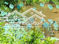 Bán Đất Nghỉ Dưỡng Yên Trung, Thạch Thất