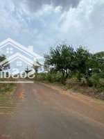 Bác Em Sang Lại Miếng Vườn Ở Phú Riềng Bình Phước, 1000M2 Giá 400 Triệu