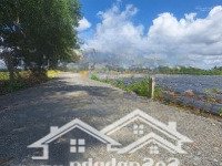 Bán Đất Đẹp Tại Đường 782, Xã Phước Thạnh, Gò Dầu, Tây Ninh, Giá Bán 2 Tỷ, 1030M2