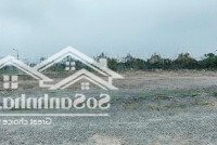 Cần Tiền Bán Gấp Mảnh Đất 90M2Mặt Tiền5M Trong 3 Ngày Dành Cho Anh Chị Thích Vớt Cọc