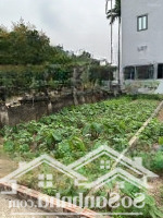 Hoa Hậu Xóm 2 Chương Dương Thường Tín - Đường 3,5M Ô Tô Tránh Xe Máy.diện Tíchvàng: 57.5M2 Nở Hậu