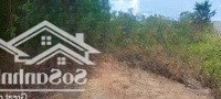 Bán Đất Siêu Phẩm 2 Mặt Tiền Đg Tô Nguyệt Đình P. Hắc Dịch Tp. Phú Mỹ, 4850M2 Tc: 300M2 Giá Bán 15 Tỷ