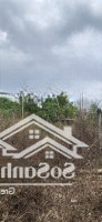 Bán Đất 130M2 Xã Đồi Giá Bán 270 Triệu Gần Nhà Thờ Xuân Thịnh Giá Cực Rẻ
