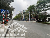 Bán Nhà Mặt Phố Nguyễn Khánh Toàndiện Tích200M2,Mặt Tiền 10 M X 4 T Kinh Doanh Giá Bán 125 Tỷ