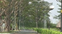 Gia Đình Ở Úc, Bán 1 Nền 160M2, Giá 39 Triệu/M2 Bao Hết, Ở Ngay, Đường 12M Sổ Đỏ Xem Đất 0909719239